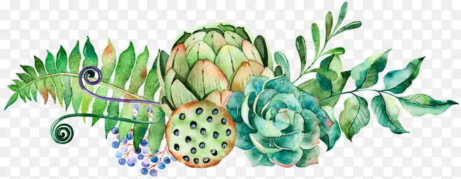 涂鸦植物插画叶子莲藕