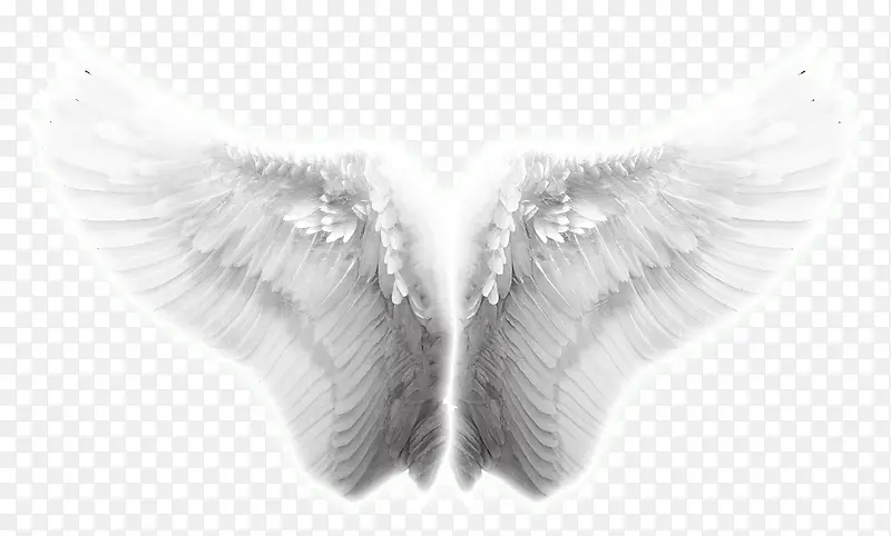 翅膀，天使的翅膀，淘宝素材，翅