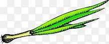 小葱
