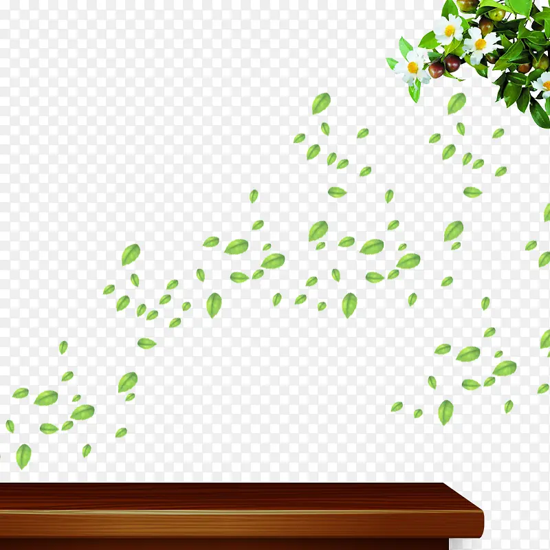 桌子落叶植物