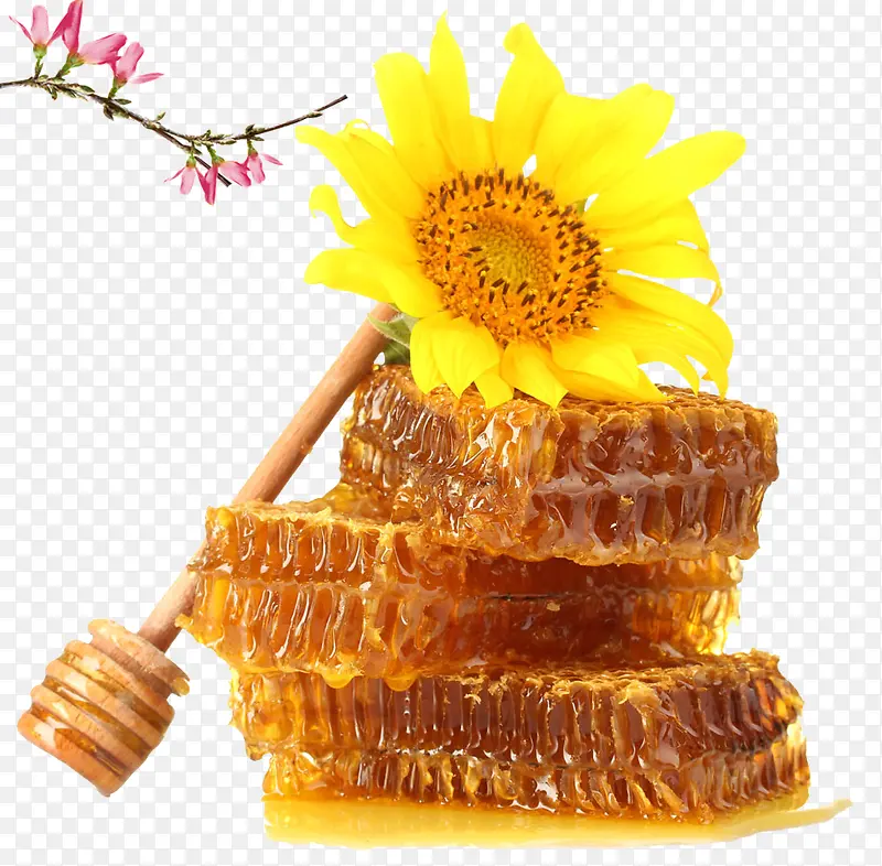 免抠透明蜂蜜向日葵