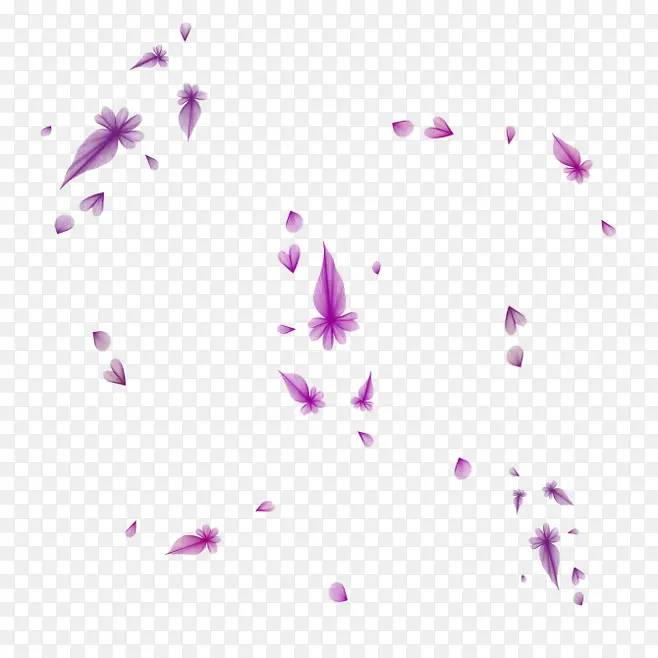 紫色羽毛散落漂浮