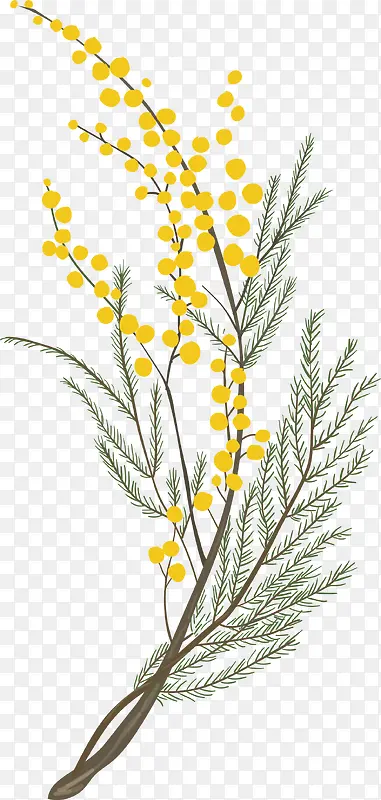黄色美丽春季花枝
