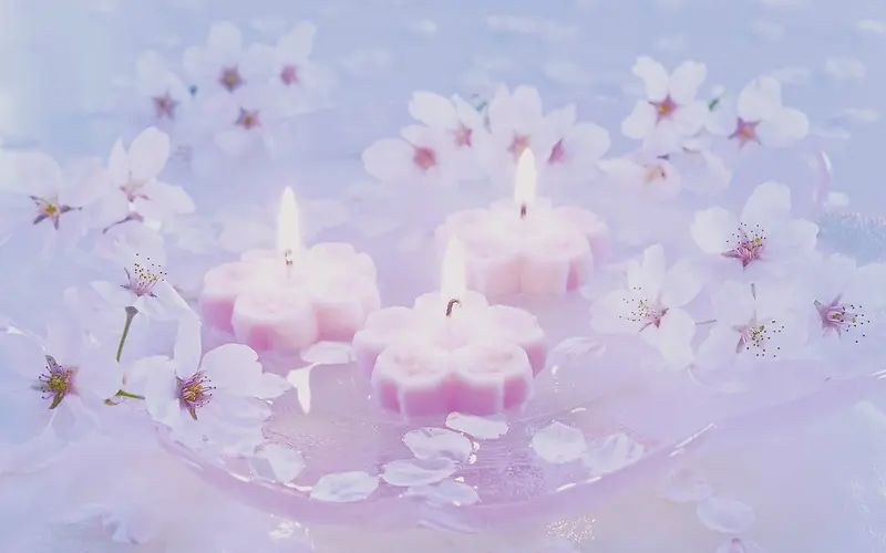 梦幻粉色花朵蜡烛
