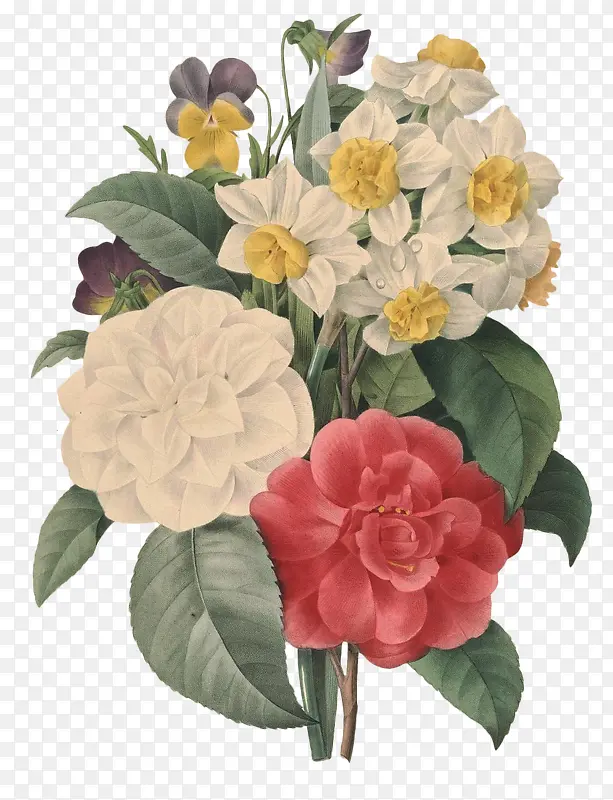 群花开放