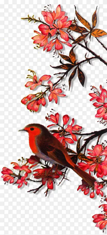 红花枫叶小鸟图片