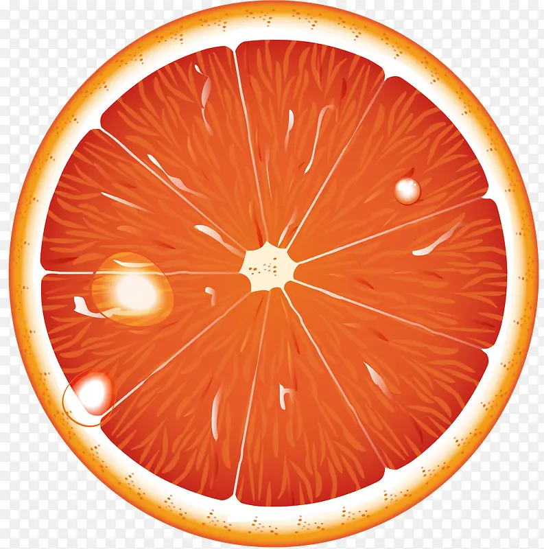 手绘橙色橘子水果