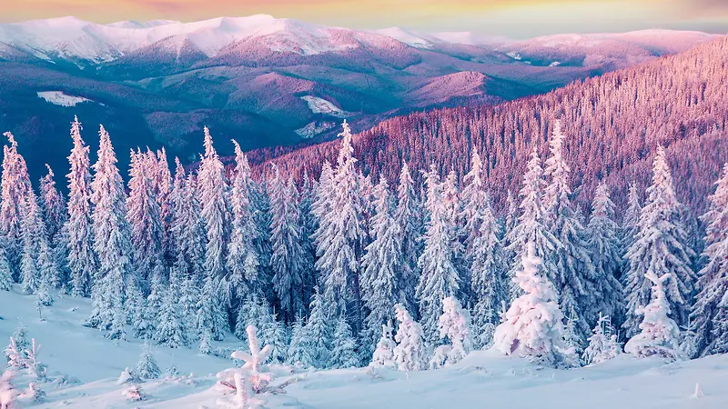 冬天美景雪山树木