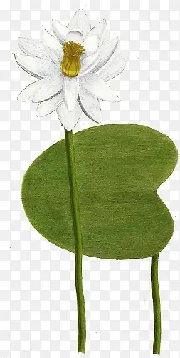 白色简约创意莲花