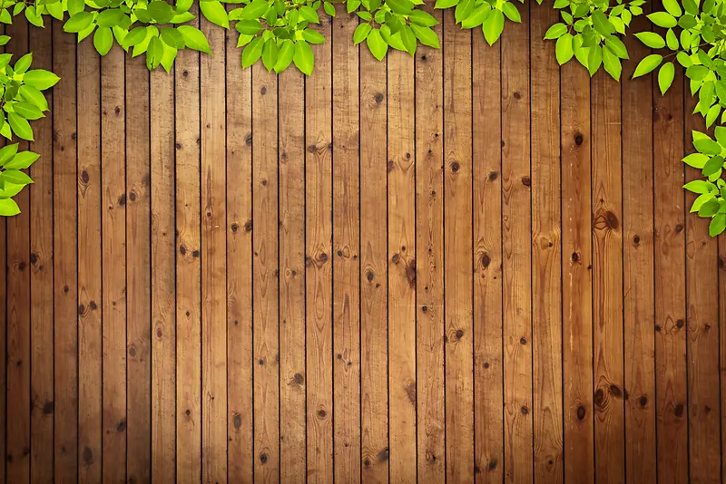 木板背景绿叶边框