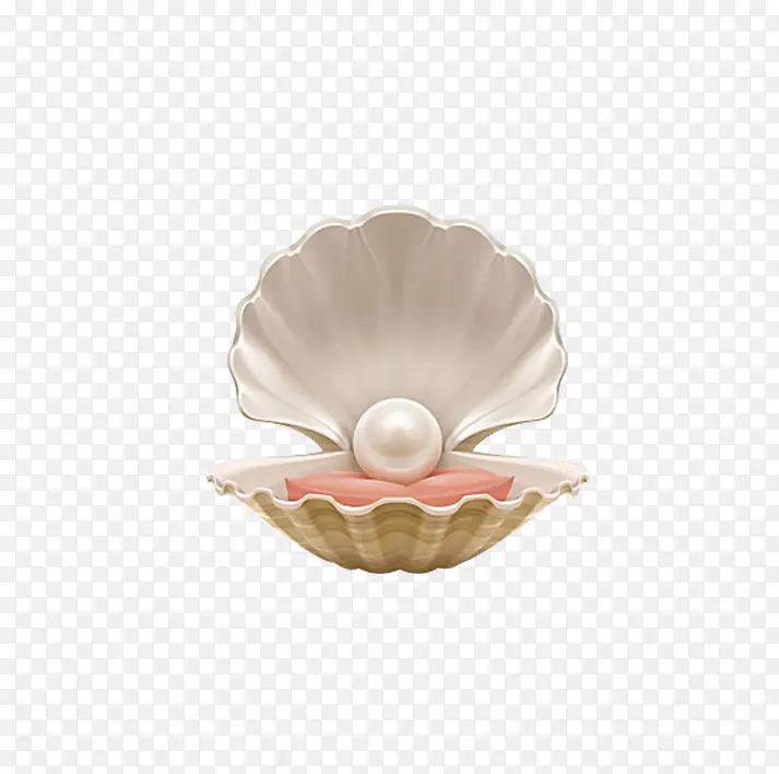 贝壳和珍珠