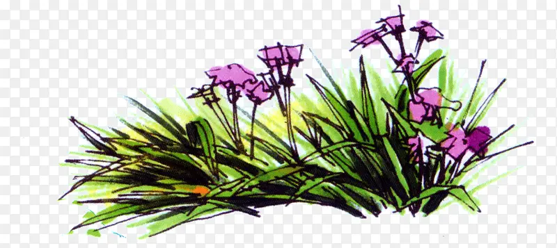 绘画紫色花卉花园素材