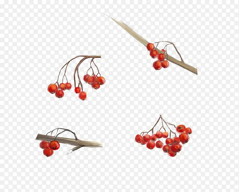 中国风树枝和红色果实
