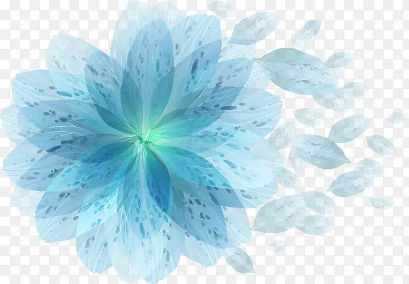 蓝色的花朵花瓣
