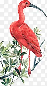 合成手绘创意元素红色的仙鹤