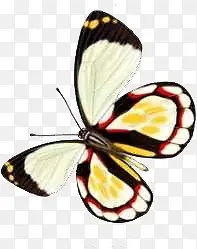 飞扬植物卡通蝴蝶效果设计