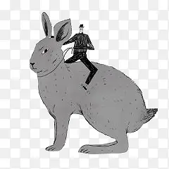 骑兔子