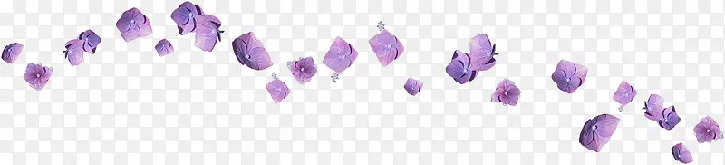 紫色花卉免抠图片
