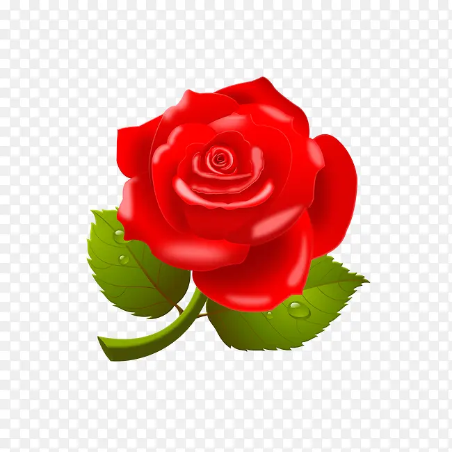 玫瑰花PSD素材