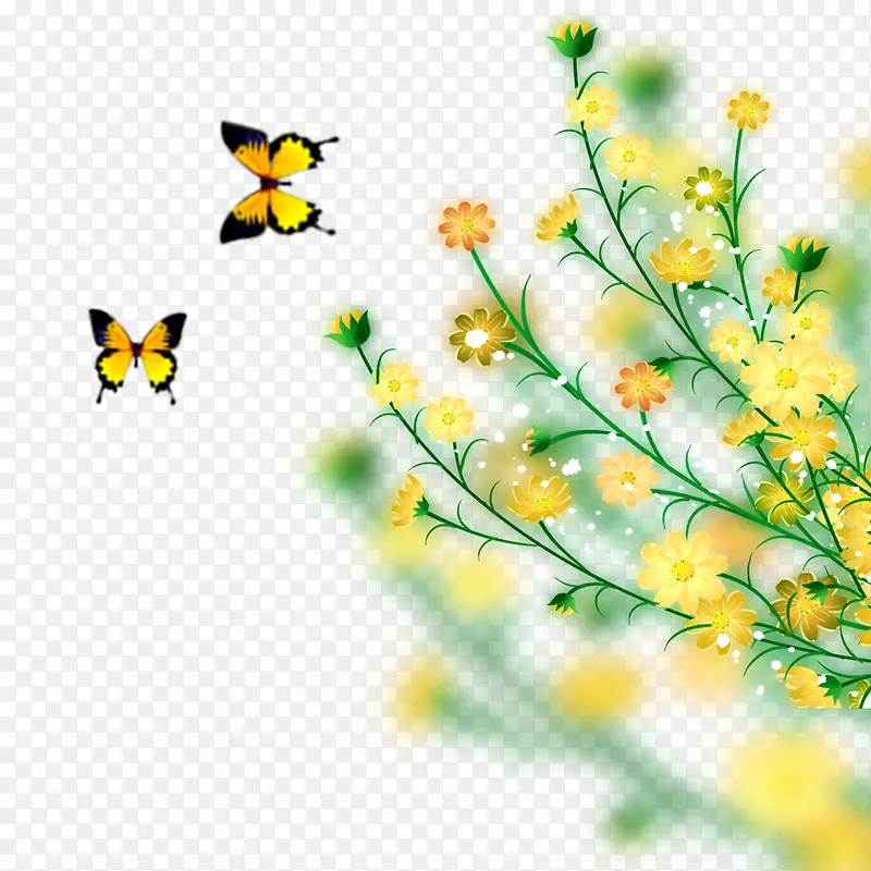 黄色花朵蝴蝶