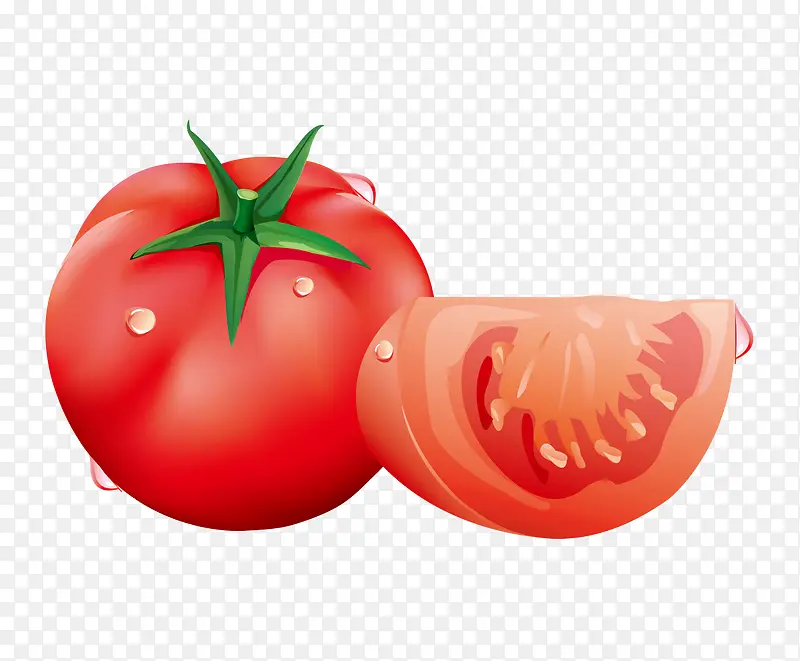 食物健康西红柿矢量