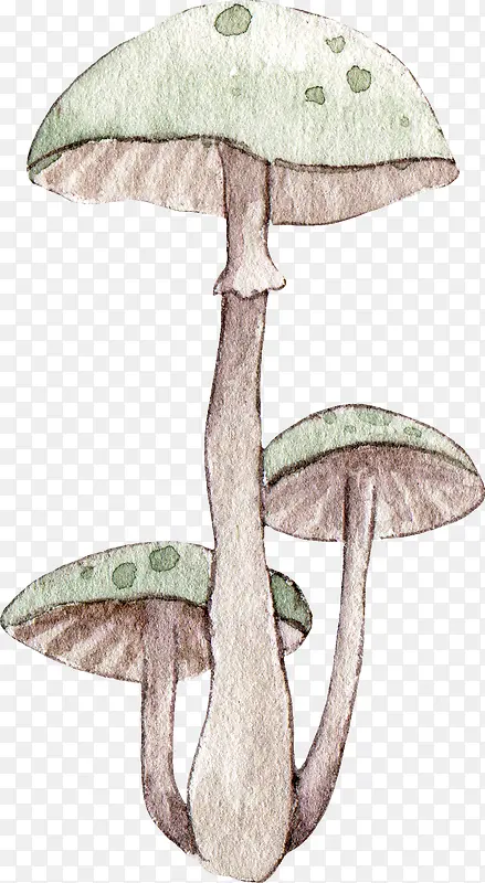 绿色手绘的小蘑菇