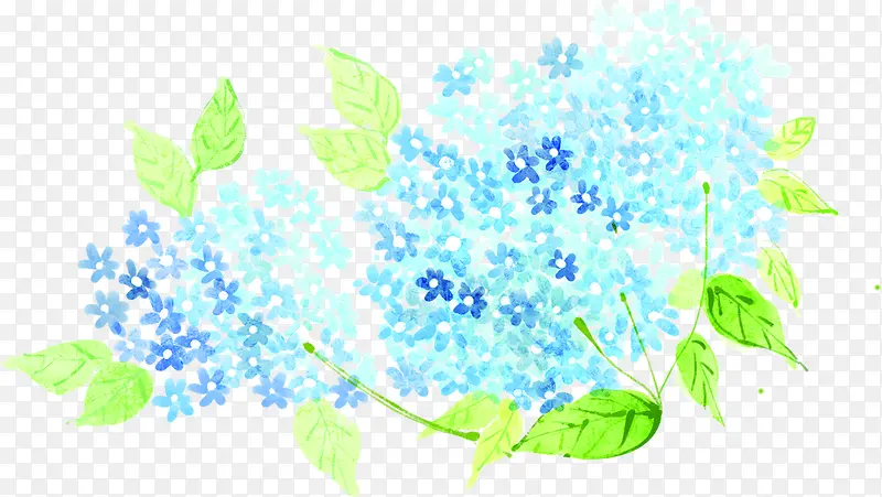 蓝色小花绿叶森系