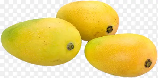 黄色成熟芒果水果