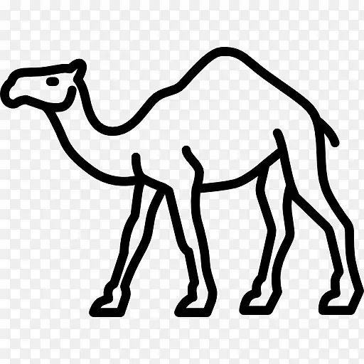 骆驼走图标