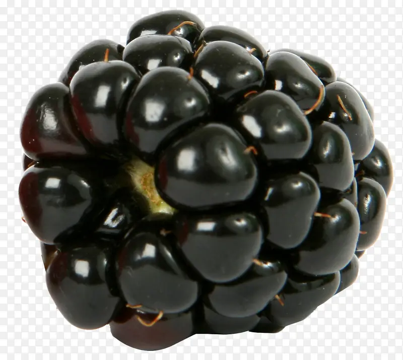 饱满的黑莓