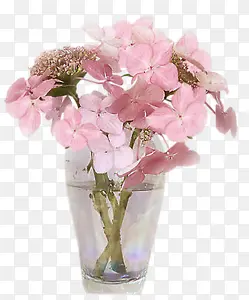 花朵花瓶粉红花朵装饰