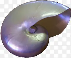 银色海螺螺旋
