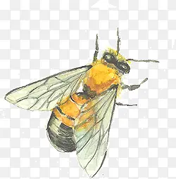彩绘蜜蜂