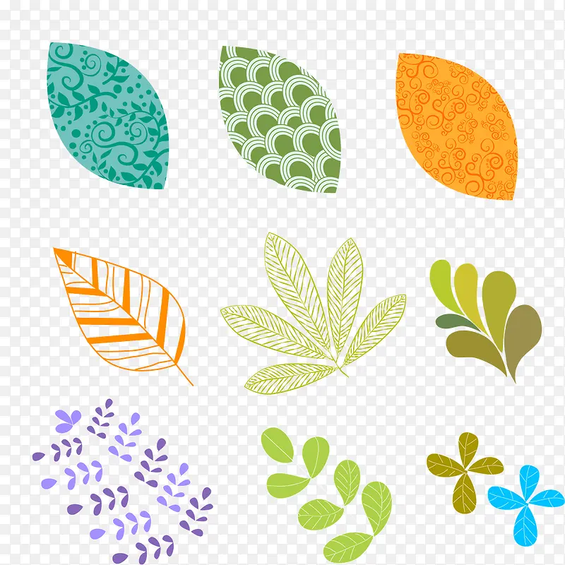 9种树叶插图矢量图