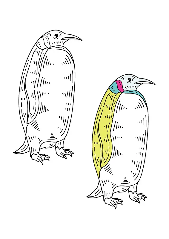 手绘线条企鹅