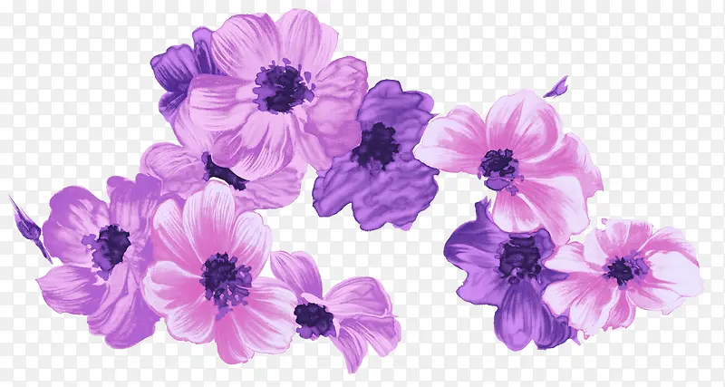 几朵盛开的装饰紫色花