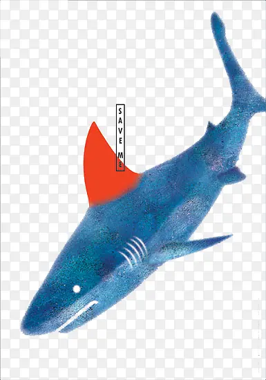 创意鲨鱼