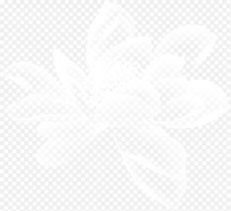 白色牡丹花卉党建