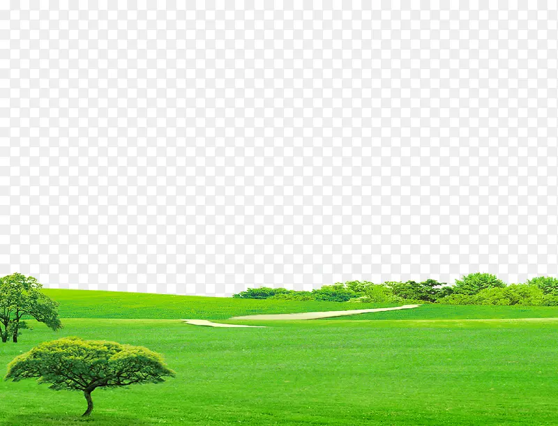 大草原和树