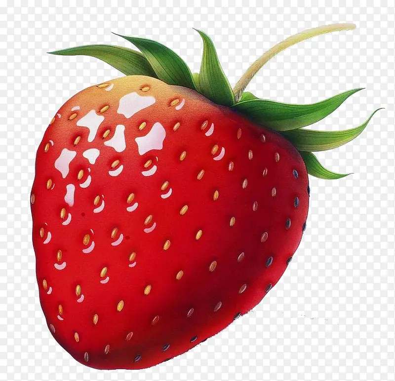 手绘水果插图新鲜草莓立体插画
