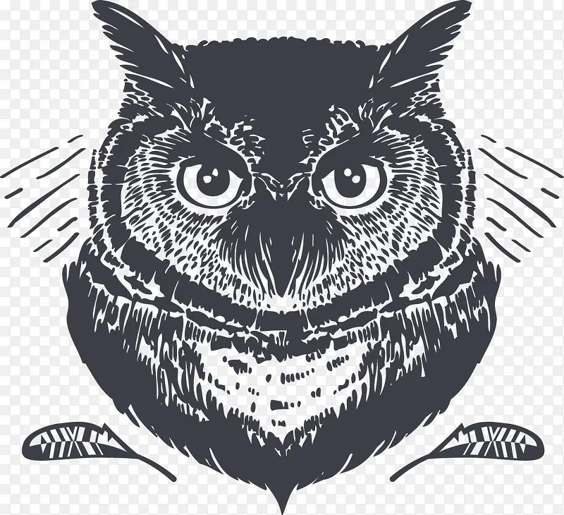 手绘的猫头鹰