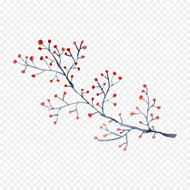 手绘植物