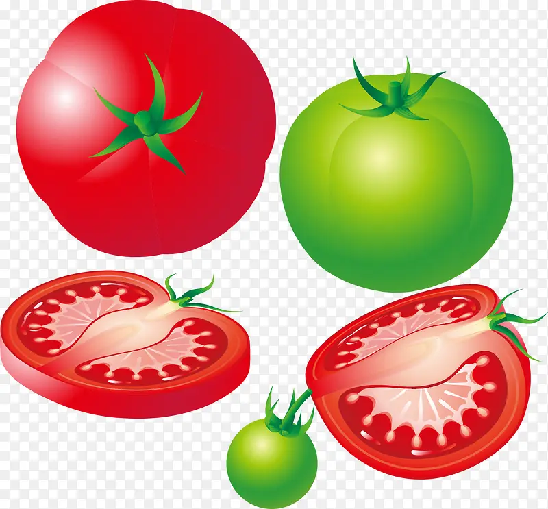 西红柿png矢量素材