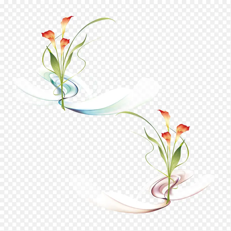 梦幻康乃馨矢量图