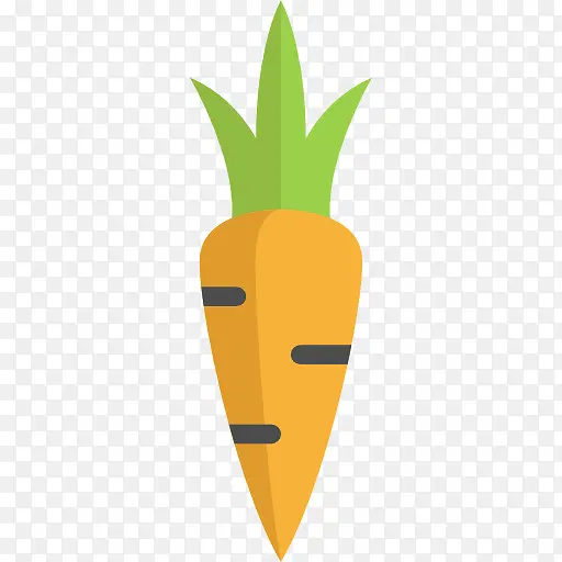 Carrot 图标