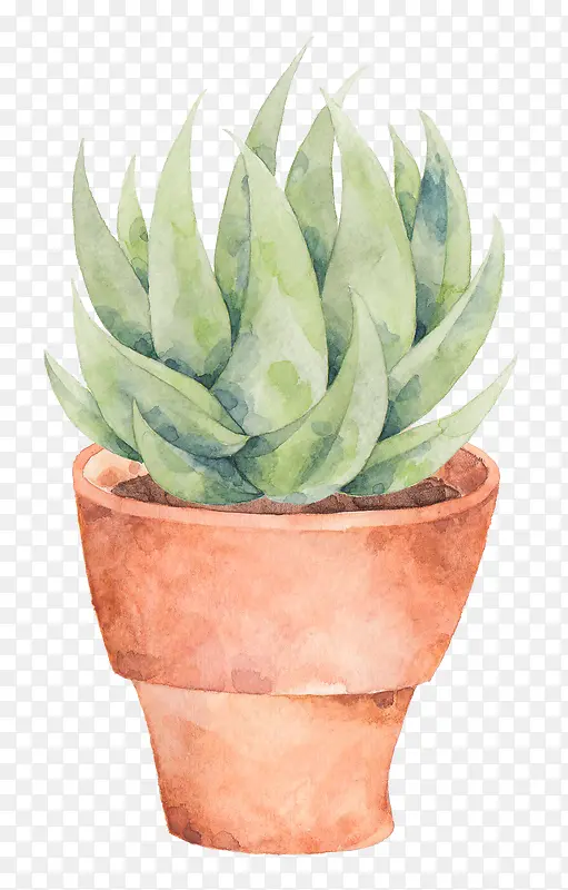 手绘植物盆栽素材