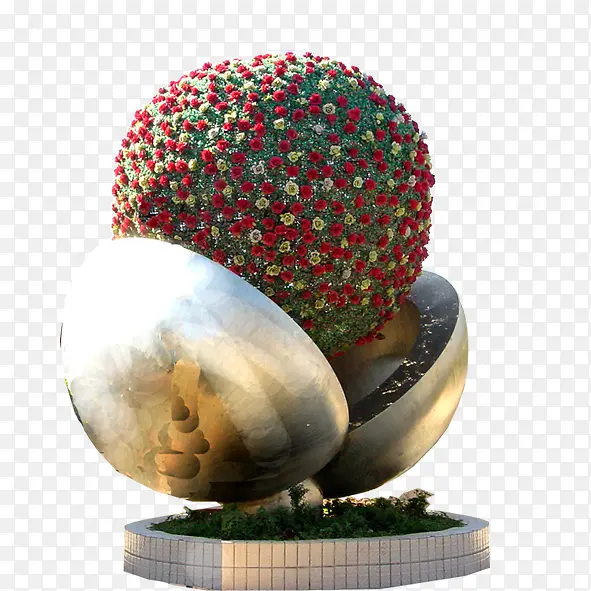 绿色植物