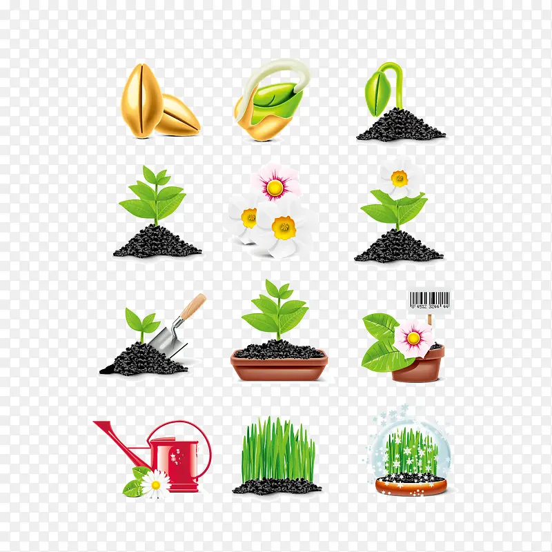 矢量盆栽和植物