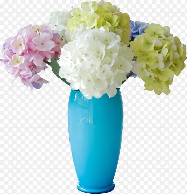 花瓶与花卉