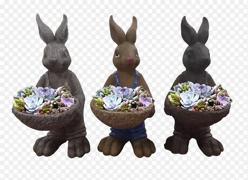 小兔子装饰多肉盆栽